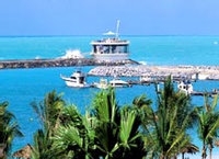 تور دبی هتل جمیرا بیچ  - آژانس مسافرتی و هواپیمایی آفتاب ساحل آبی